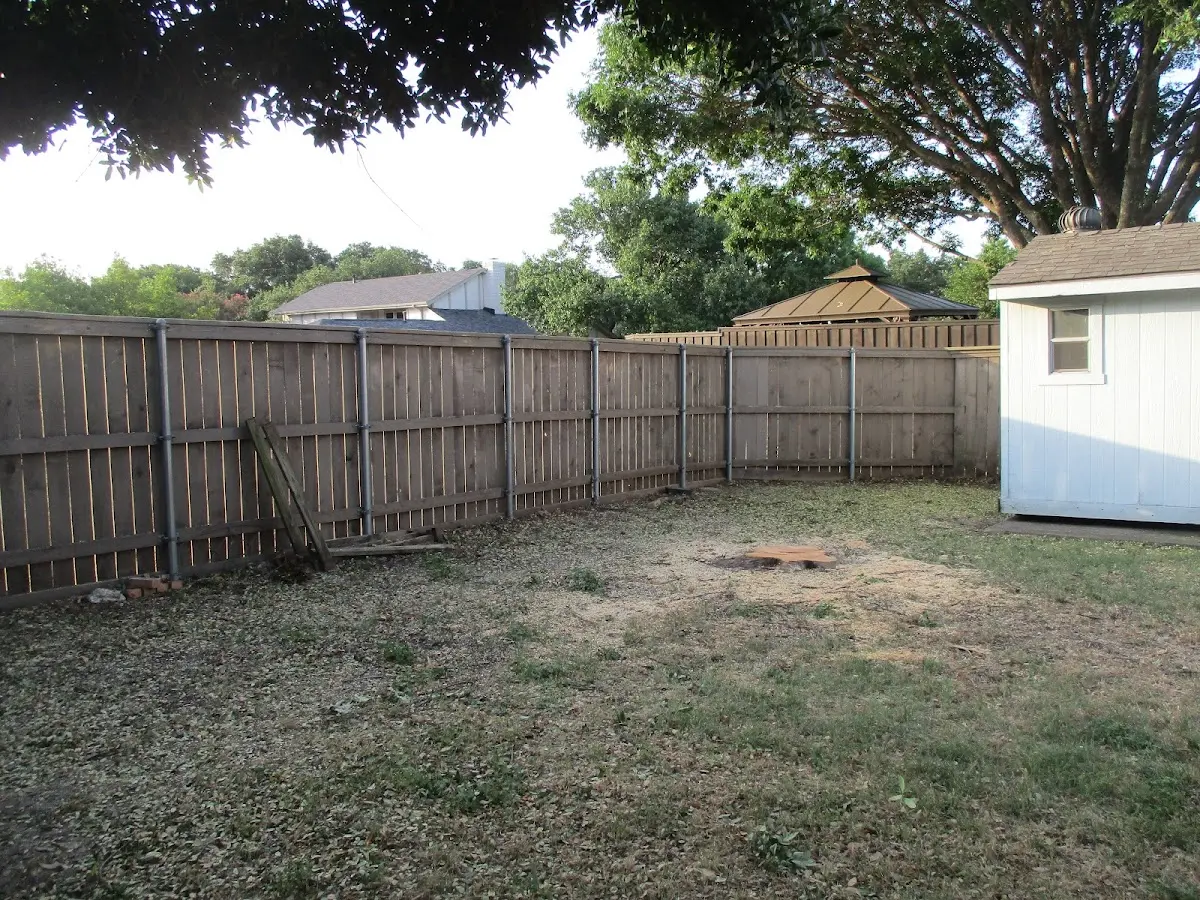 Cleared yard after professional tree removal in Kotlik