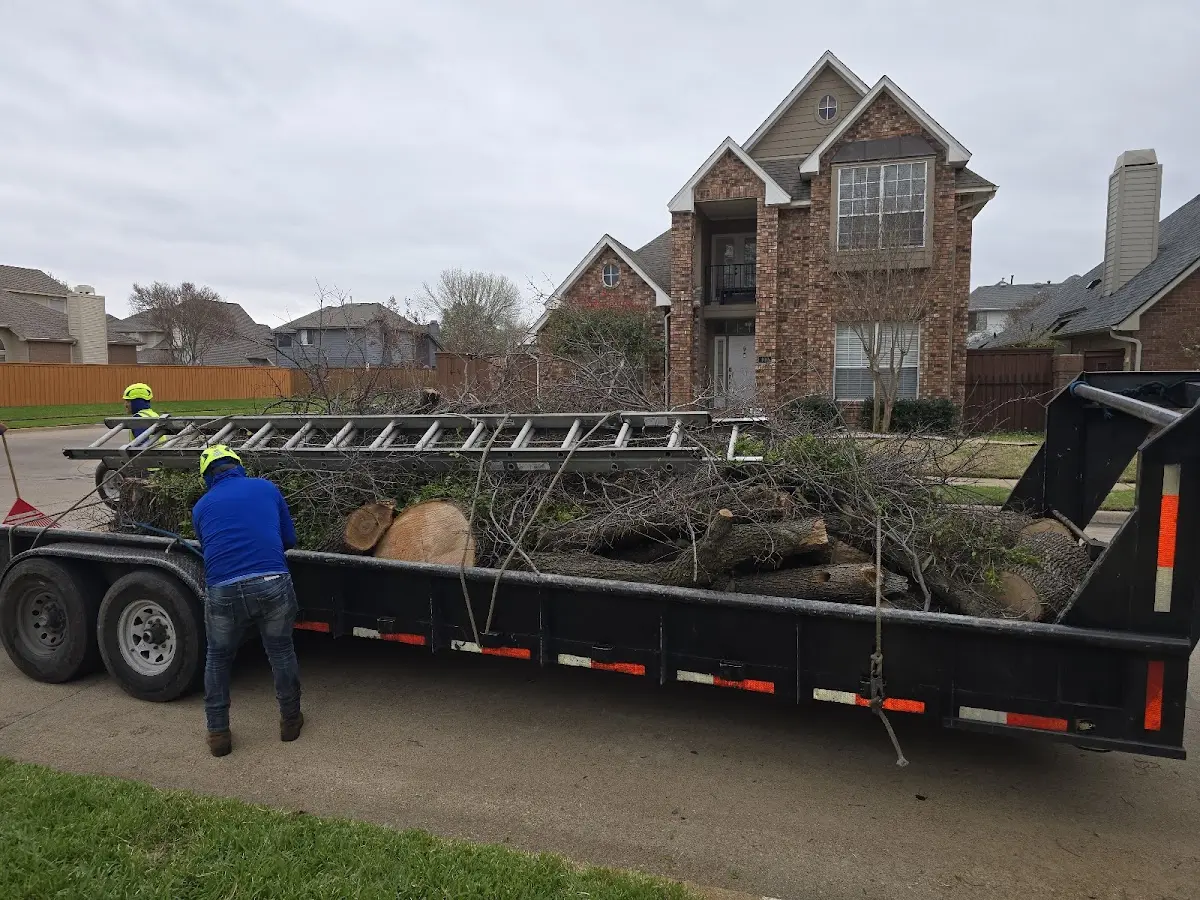 Expert Tree Fertilization with proper safety equipment in Kotlik